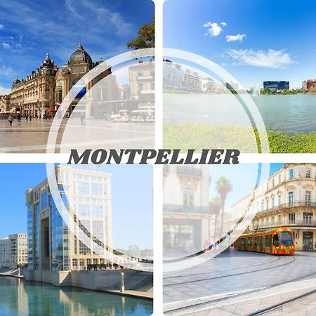 Le Calderini Appart - Face Plage Wifi Et Park Gratuit Calme - Resid Le Surcouf -Top Pros Servicesconciergerie La Grande Motte Eksteriør billede